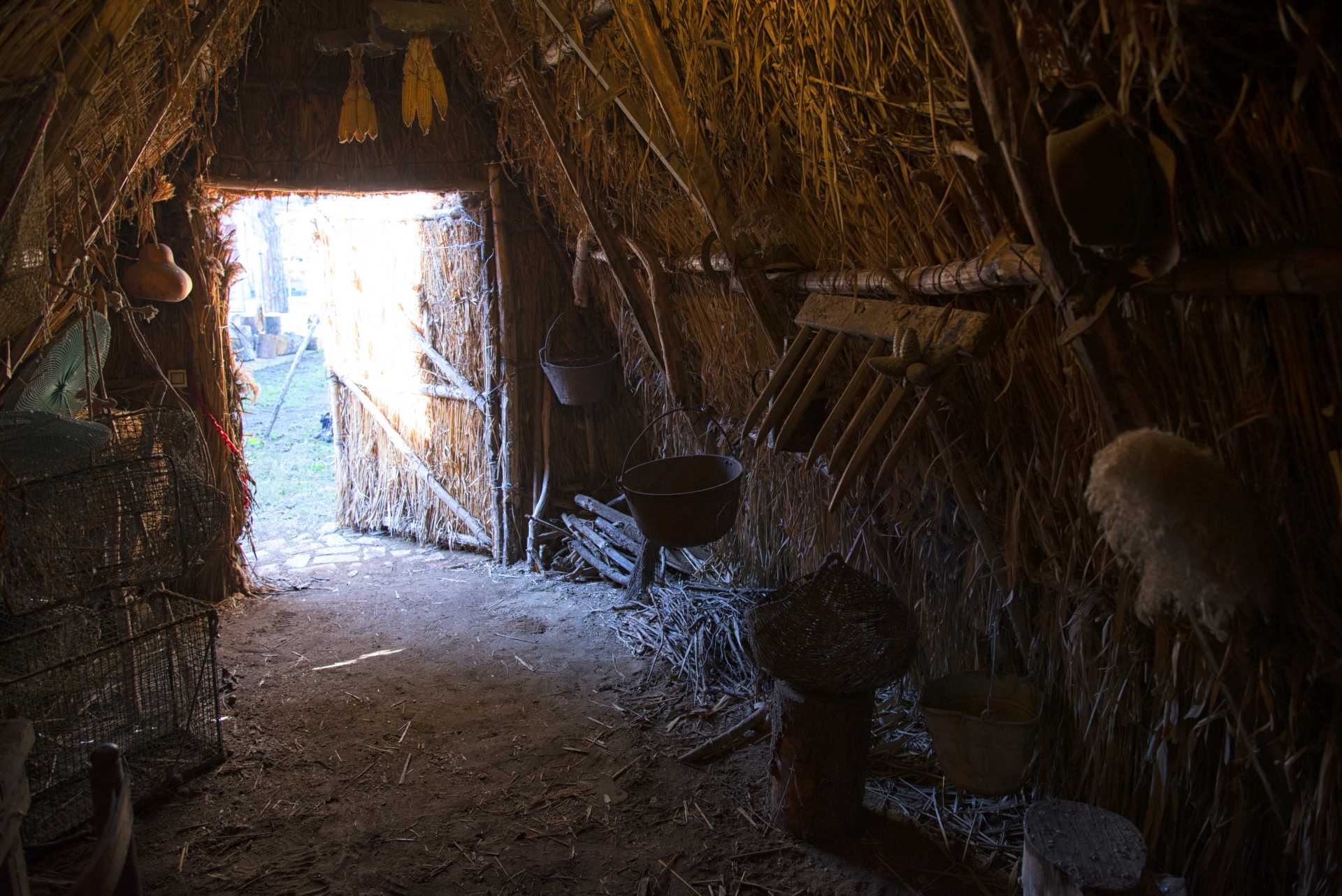 L''Ecomuseo del Litorale Romano: il litorale incontra la sua storia